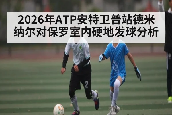 2026年ATP安特卫普站德米纳尔对保罗室内硬地发球分析（kaiyun）